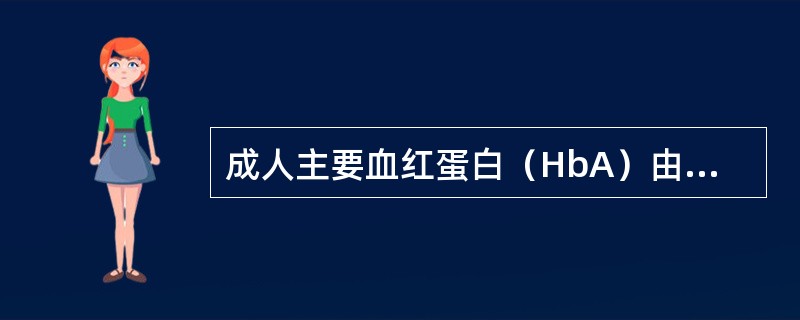 成人主要血红蛋白（HbA）由哪几条肽链组成（）