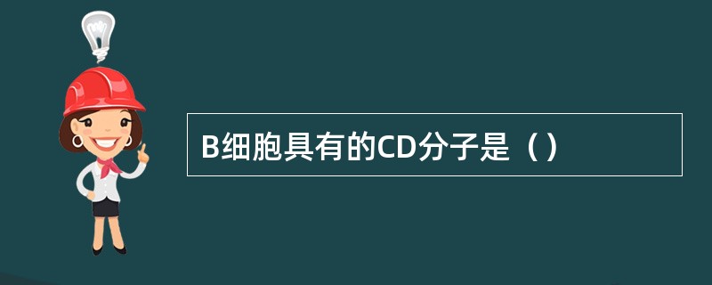 B细胞具有的CD分子是（）