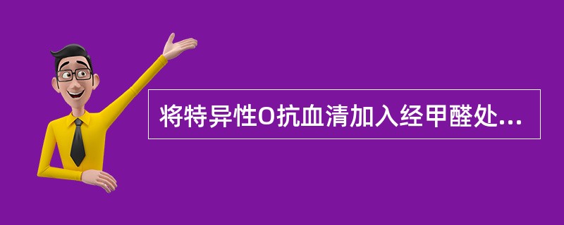 将特异性O抗血清加入经甲醛处理后的伤寒沙门菌后会出现（）