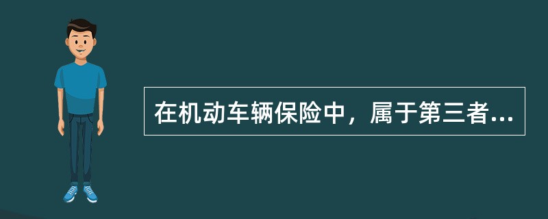 在机动车辆保险中，属于第三者责任险附加险包括()等。