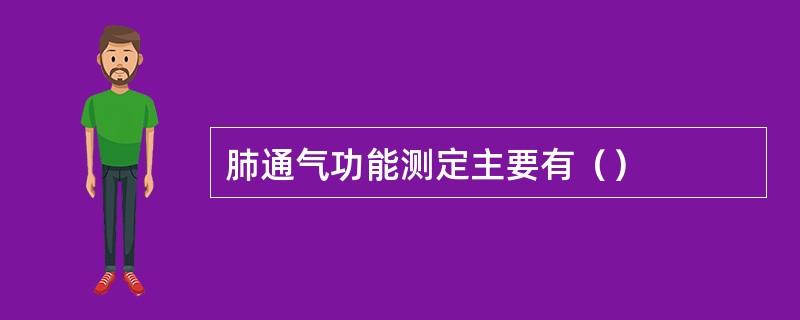 肺通气功能测定主要有（）