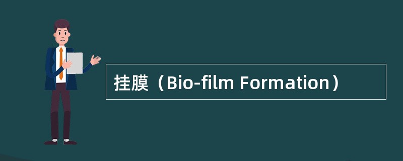 挂膜（Bio-film Formation）