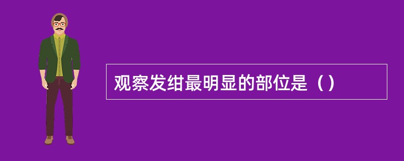 观察发绀最明显的部位是（）