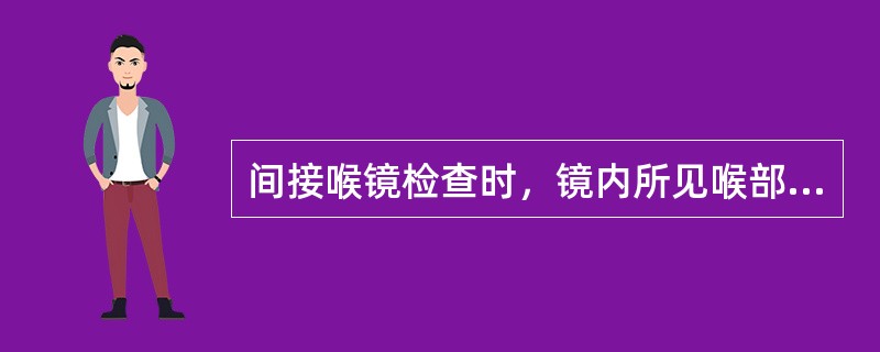 间接喉镜检查时，镜内所见喉部的影像与真实的喉部位置是（）。