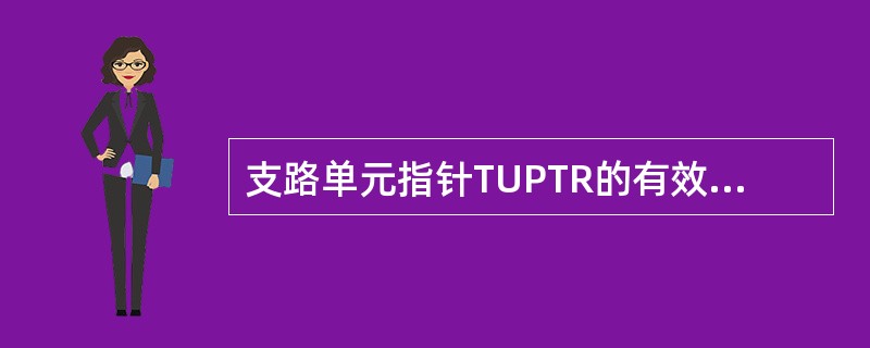 支路单元指针TUPTR的有效值是多少（）。