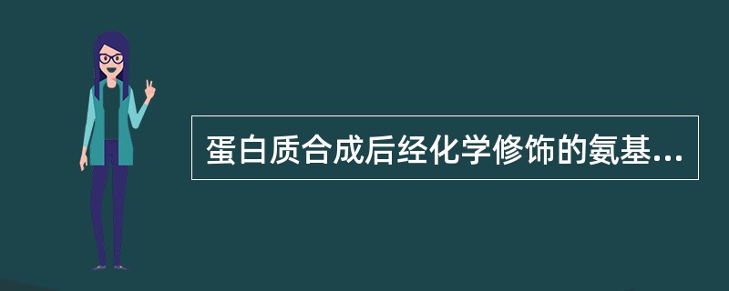 蛋白质合成后经化学修饰的氨基酸是（）。