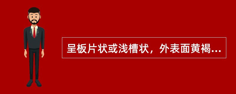 呈板片状或浅槽状，外表面黄褐色或黄棕色，内表面暗黄色或淡棕黄色，断面深黄色，纤维