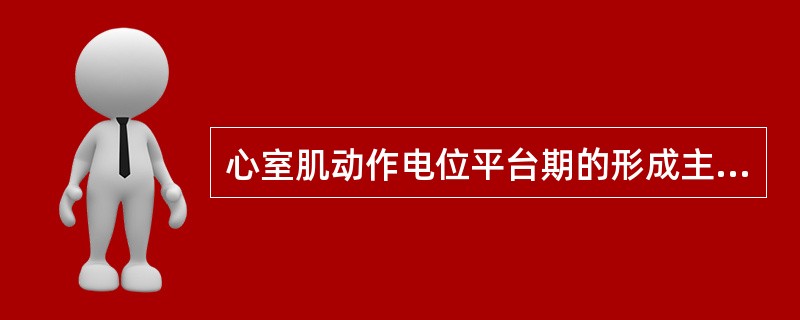 心室肌动作电位平台期的形成主要是（）