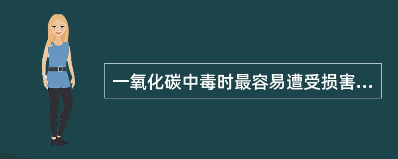 一氧化碳中毒时最容易遭受损害的脏器是（）