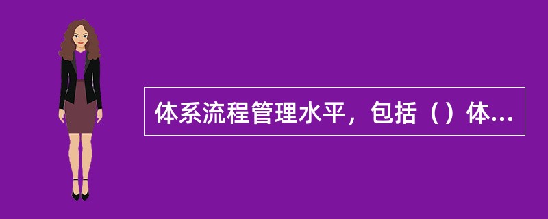 体系流程管理水平，包括（）体系制度。