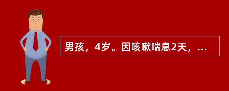 男孩，4岁。因咳嗽喘息2天，加重半天就诊。体检：体温正常，呼气性呼吸困难，口唇微