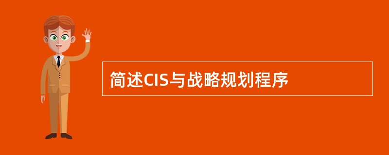 简述CIS与战略规划程序