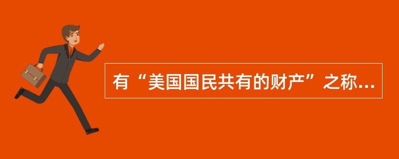 有“美国国民共有的财产”之称的是哪个公司（）。