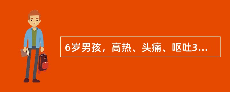 6岁男孩，高热、头痛、呕吐3天，昏迷1天，2天前曾排稀便数次，无脓血，皮疹（-）