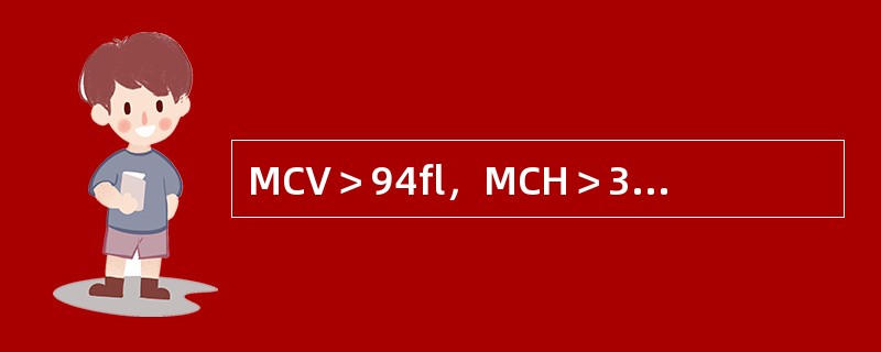MCV＞94fl，MCH＞32pg，MCHC正常（34％），红细胞胞核发育落后于