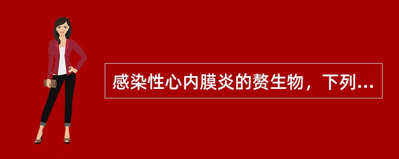 感染性心内膜炎的赘生物，下列哪项说法是错误的（）