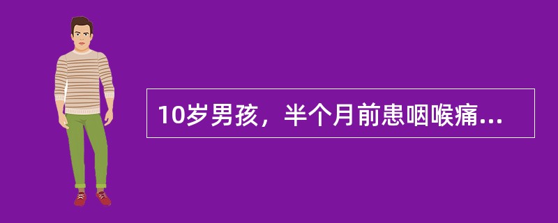 10岁男孩，半个月前患咽喉痛，今发现颜面水肿，伴头痛，服中药后呕吐3次，傍晚忽然