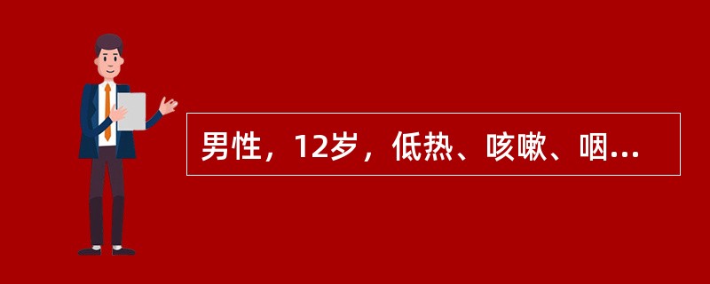 男性，12岁，低热、咳嗽、咽部不适1周，胸X线片示两肺下部网状及按小叶分布的斑片