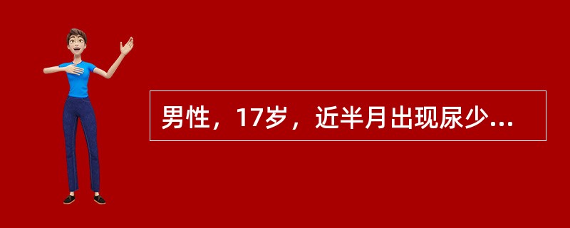 男性，17岁，近半月出现尿少、全身水肿。尿蛋白定量8g/天。血浆白蛋白18g/L