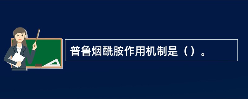 普鲁烟酰胺作用机制是（）。