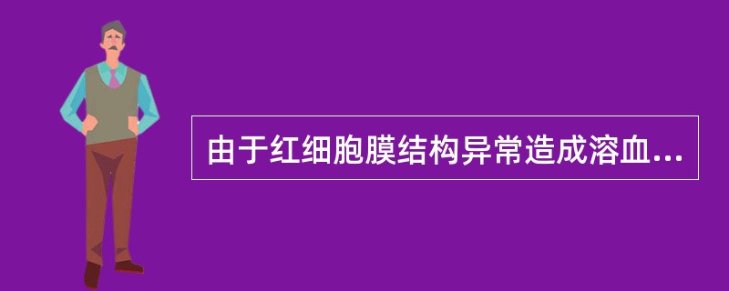 由于红细胞膜结构异常造成溶血的是（）。