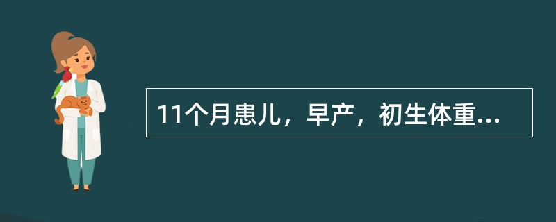 11个月患儿，早产，初生体重2kg，牛奶喂养，未添加辅食，发现面色苍白5个月。查