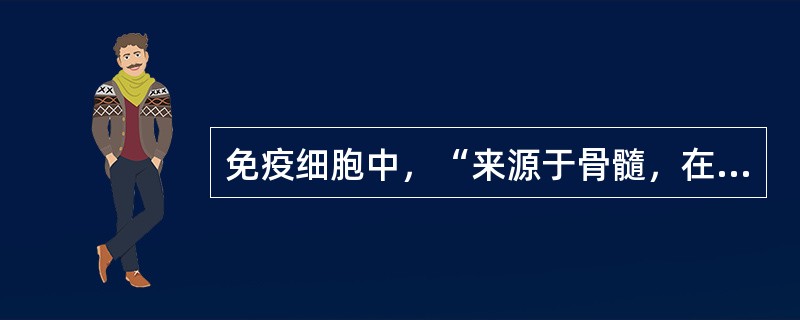 免疫细胞中，“来源于骨髓，在胸腺内发育成熟后，移行至外周淋巴组织，执行特异性细胞