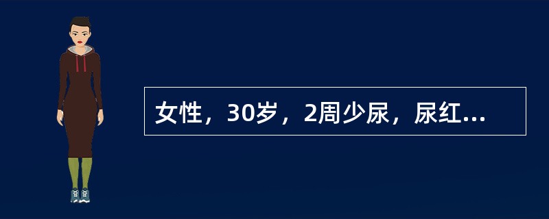 女性，30岁，2周少尿，尿红细胞20～30/高倍视野，尿蛋白（++），BP142