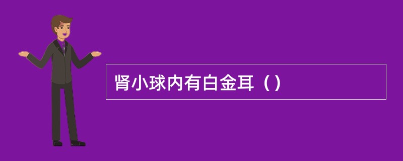 肾小球内有白金耳（）