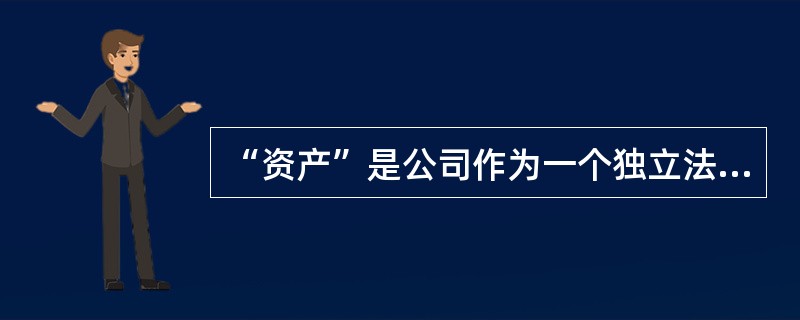 “资产”是公司作为一个独立法人所拥有、控制的完整资产，具有不可分割性。