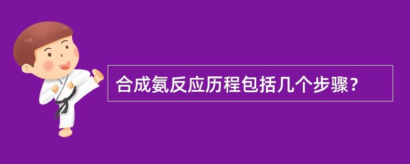 合成氨反应历程包括几个步骤？