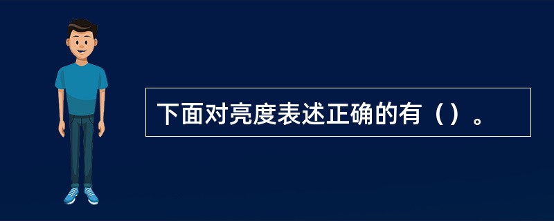 下面对亮度表述正确的有（）。