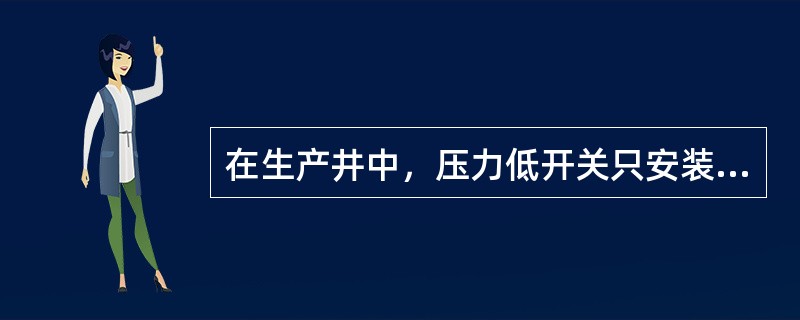 在生产井中，压力低开关只安装在（）。