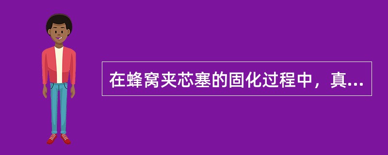 在蜂窝夹芯塞的固化过程中，真空包中的压力保持在（）。