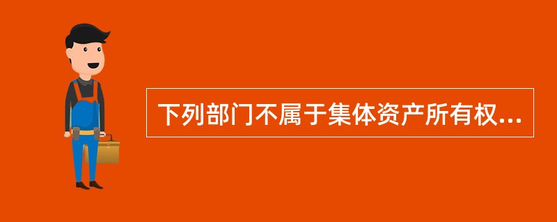 下列部门不属于集体资产所有权界定的组织机构的是（）。