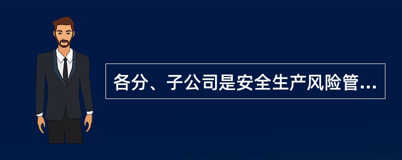 各分、子公司是安全生产风险管理体系建设的（）。