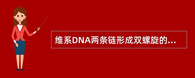 维系DNA两条链形成双螺旋的化学键是（）