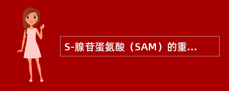 S-腺苷蛋氨酸（SAM）的重要生理功用是（）