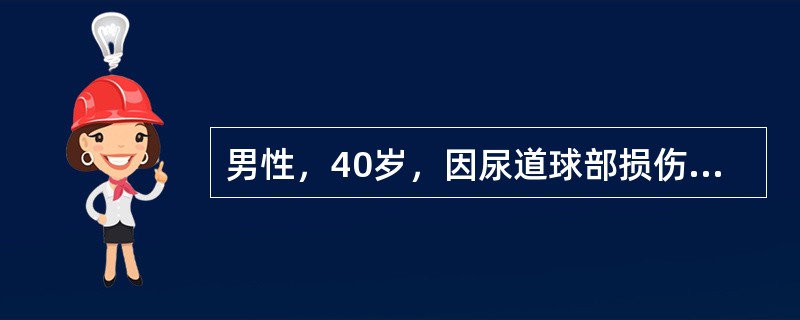 男性，40岁，因尿道球部损伤，尿外渗，不可能扩展到哪个部位（）