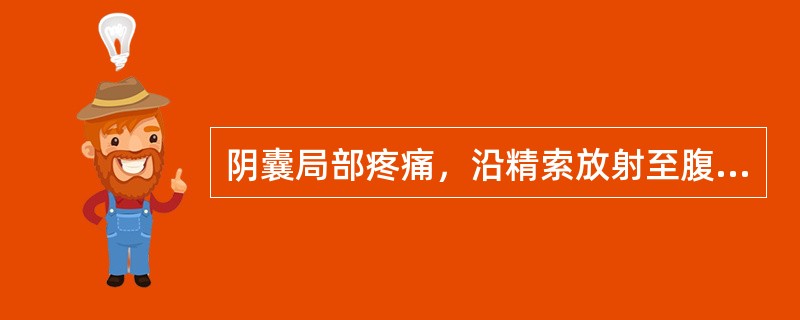 阴囊局部疼痛，沿精索放射至腹股沟部、耻骨上或下腹部。皮肤表面红肿，精索呈纺锤形或