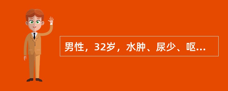 男性，32岁，水肿、尿少、呕吐2个月，血压170／1．10mmHg，尿蛋白（十+