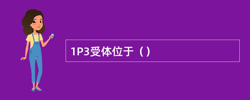 1P3受体位于（）