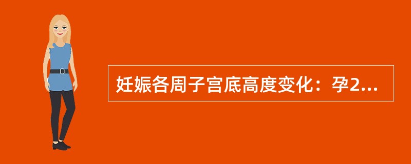 妊娠各周子宫底高度变化：孕20周宫底的高度应在____________，孕28周