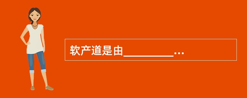 软产道是由___________、宫颈、___________及骨盆底软组织构成