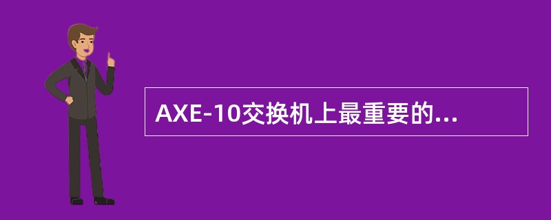 AXE-10交换机上最重要的处理器有（）