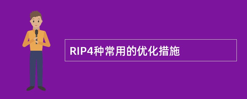 RIP4种常用的优化措施