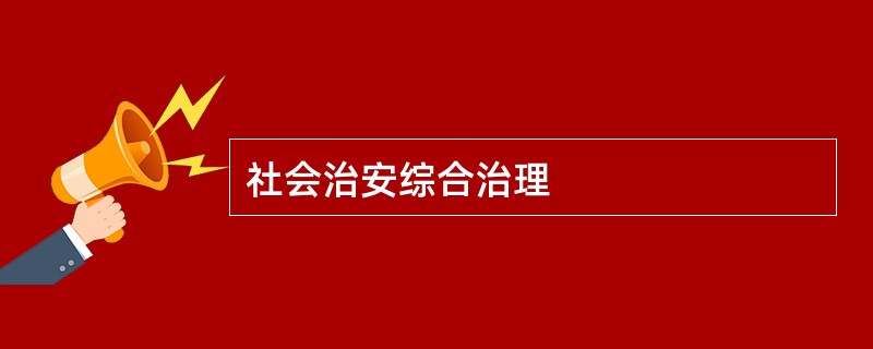 社会治安综合治理