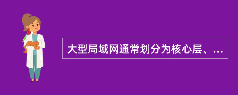 大型局域网通常划分为核心层、汇聚层和接入层，以下关于各个网络层次的描述中，不正确