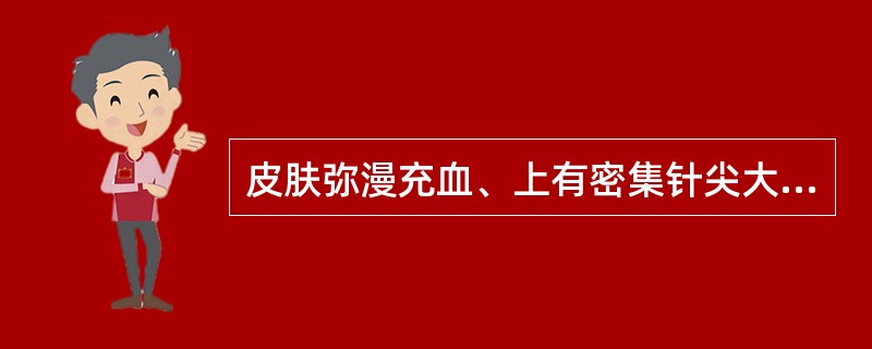 皮肤弥漫充血、上有密集针尖大小丘疹（）