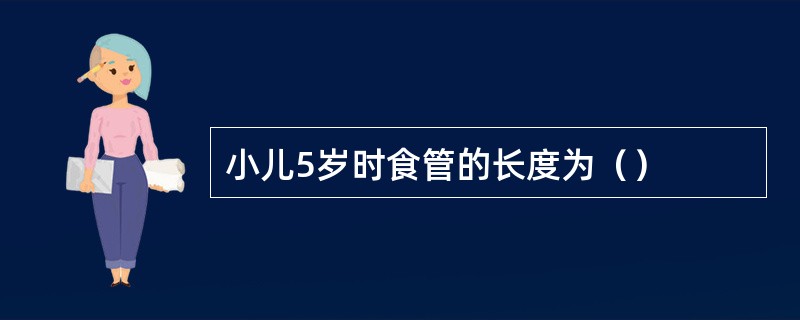 小儿5岁时食管的长度为（）